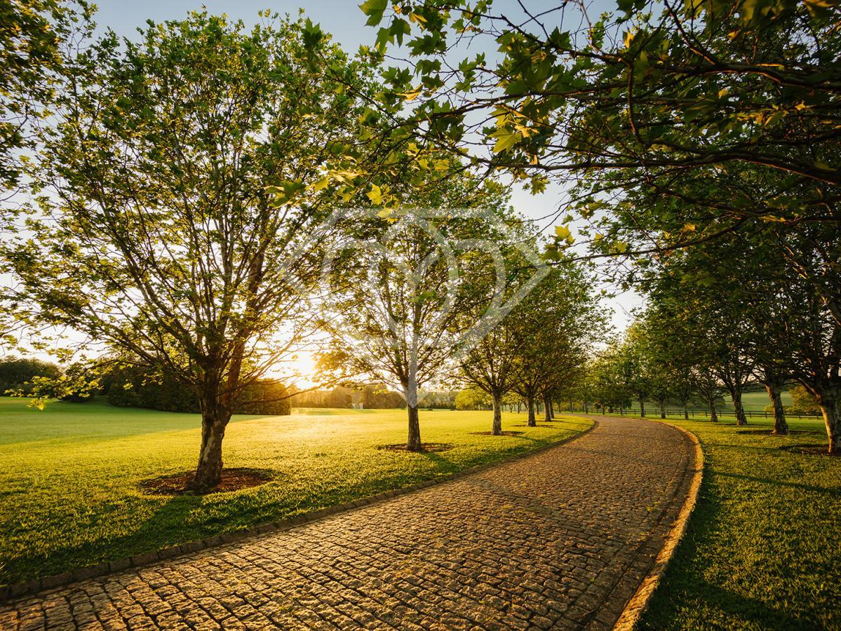 Terreno, 459 m² - Foto 2