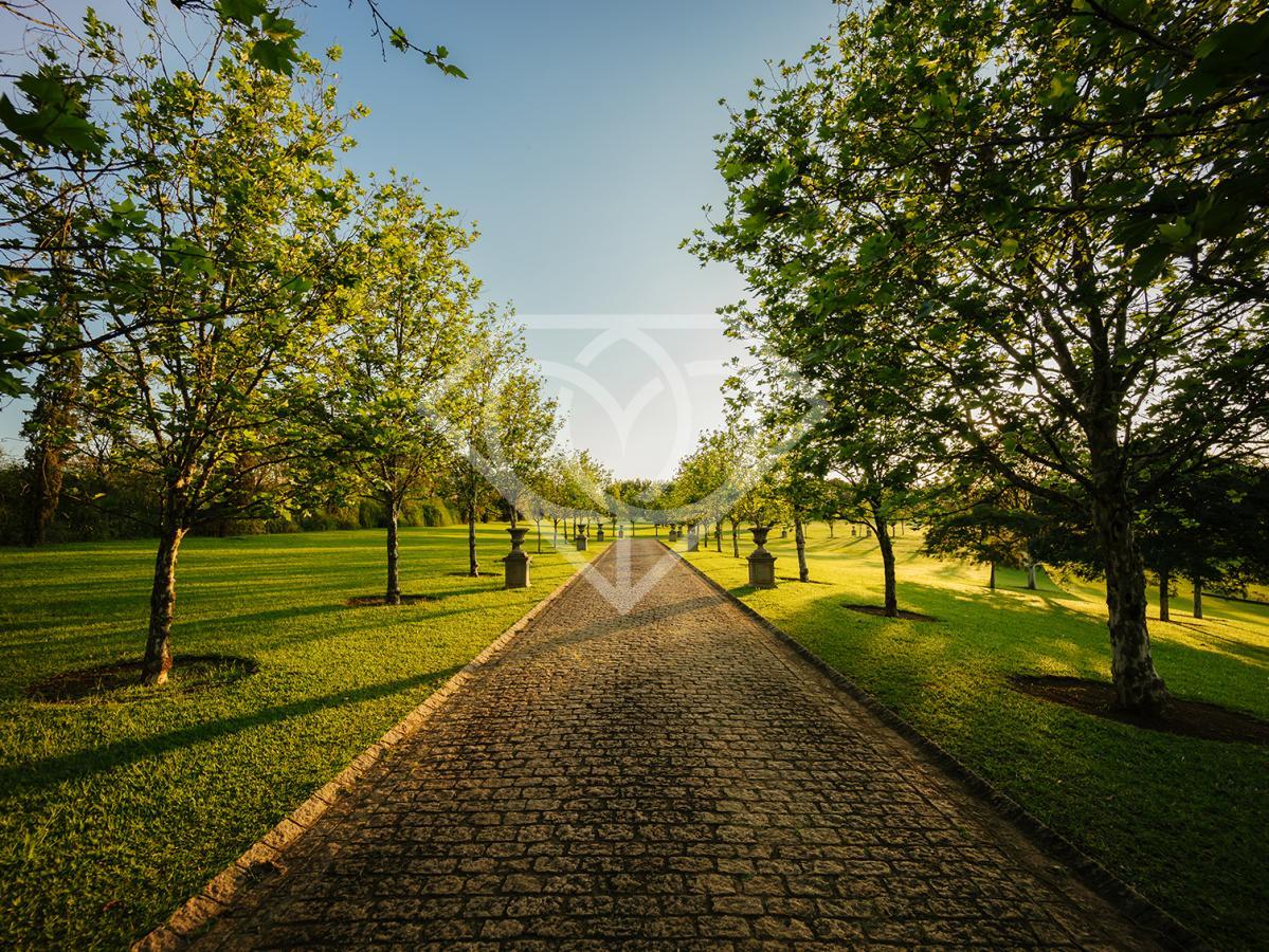 Terreno, 459 m² - Foto 7