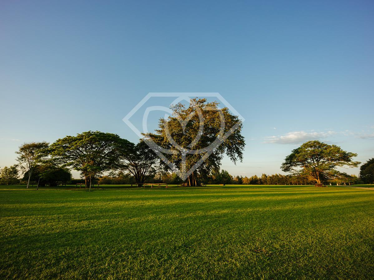 Terreno, 459 m² - Foto 4