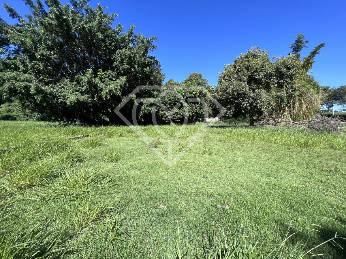 Terreno, 1145 m² - Foto 2