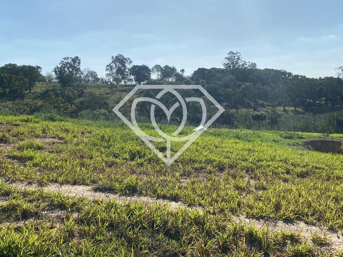 Terreno, 550 m² - Foto 3