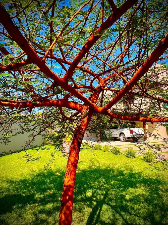 Sobrado, 4 quartos, 260 m² - Foto 24