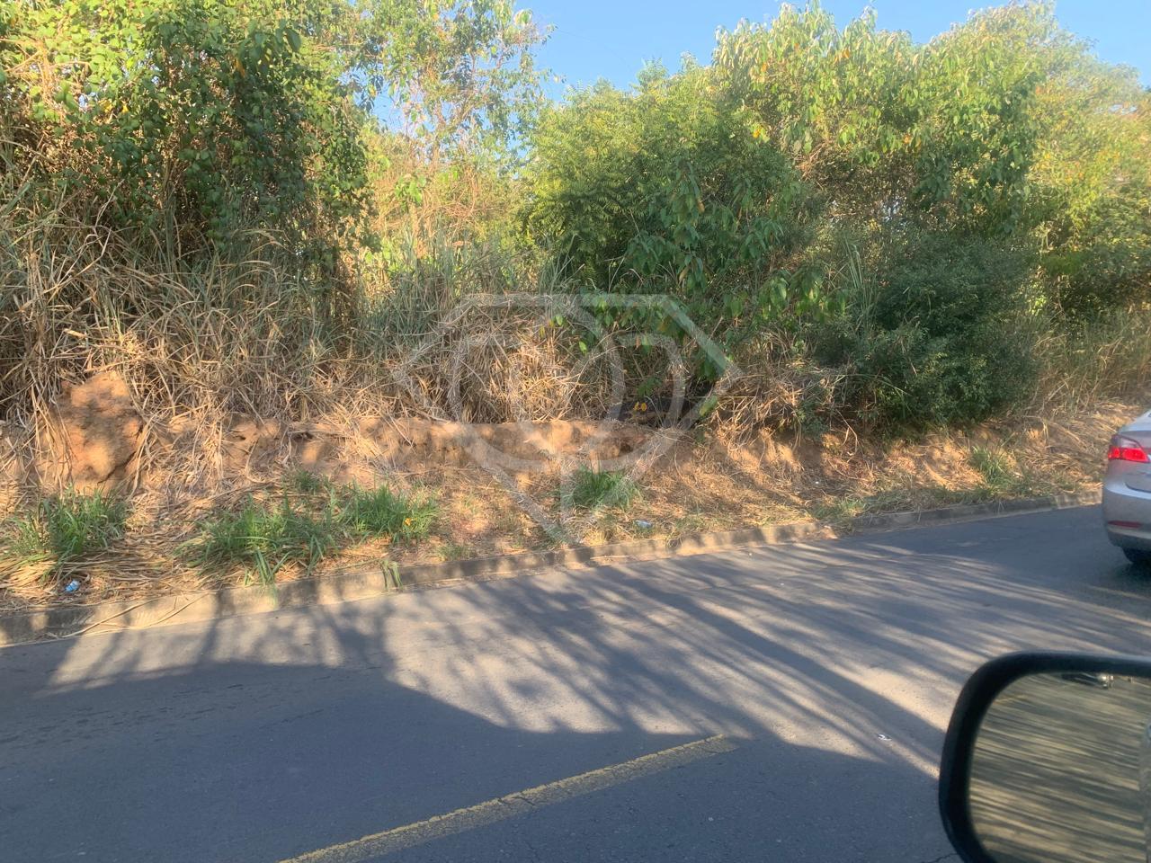 Terreno, 2 hectares - Foto 2