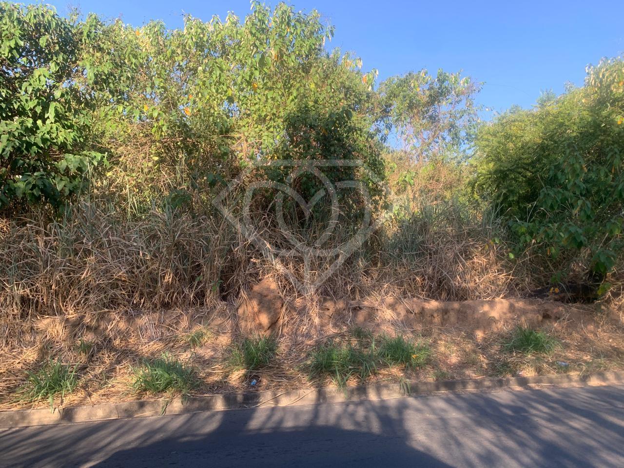 Terreno, 2 hectares - Foto 1